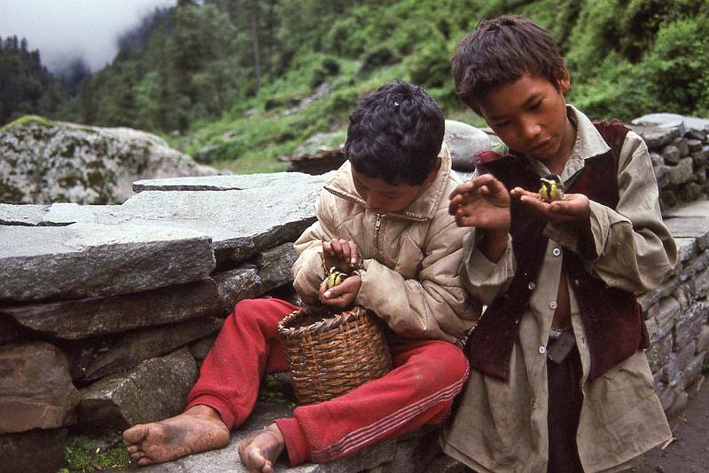WT 1000 154-27 Nepal.jpg